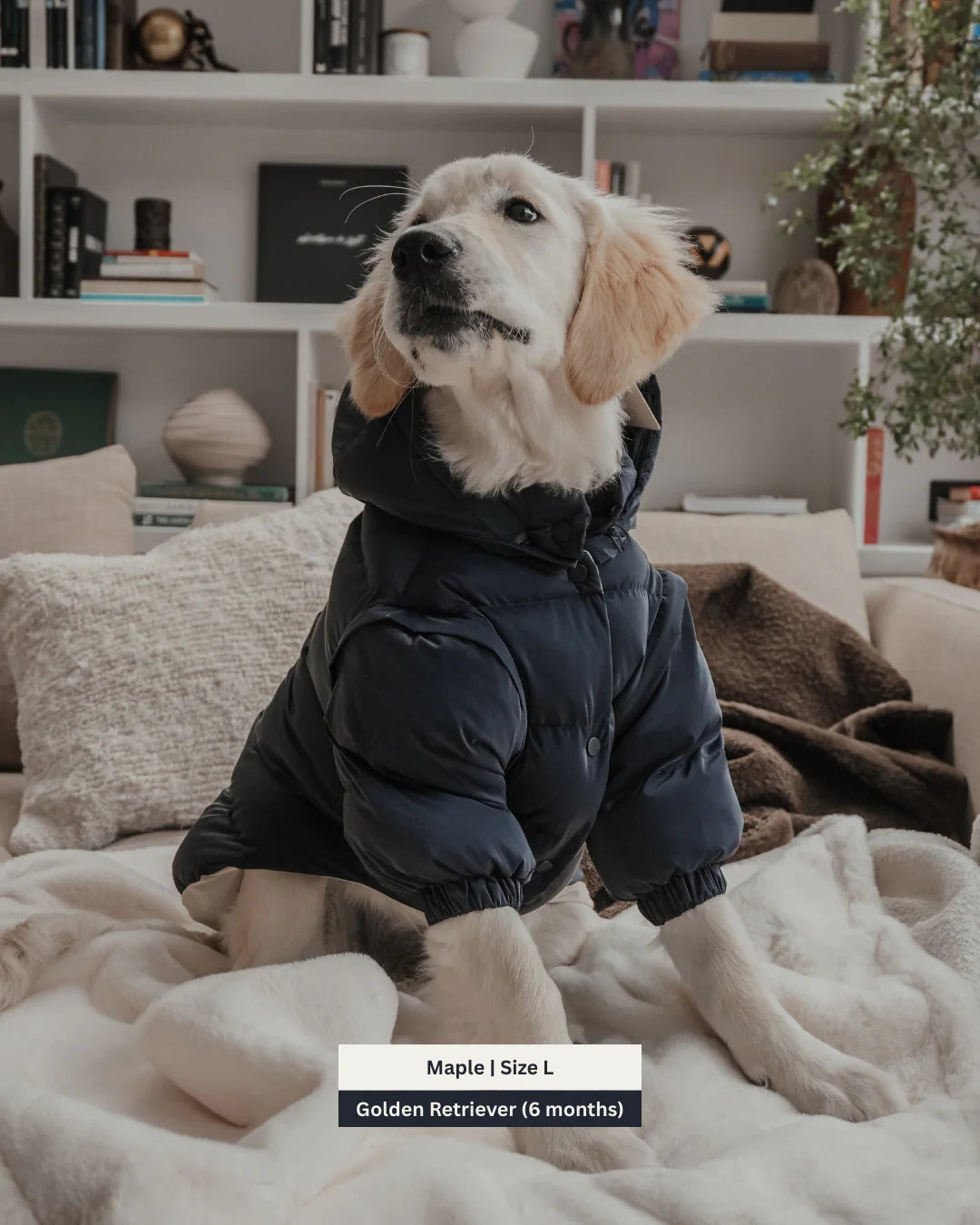 Midnight | the Modular Puffer