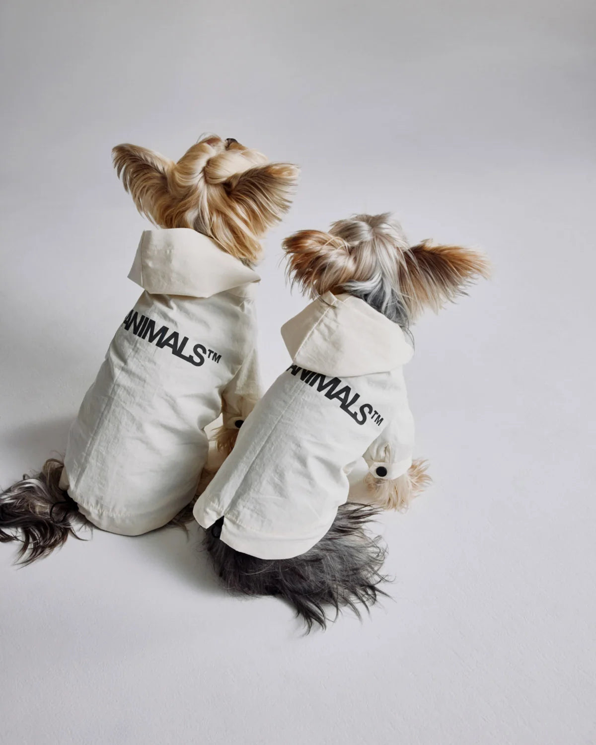 Logo Light Dog Coat - OYSTER