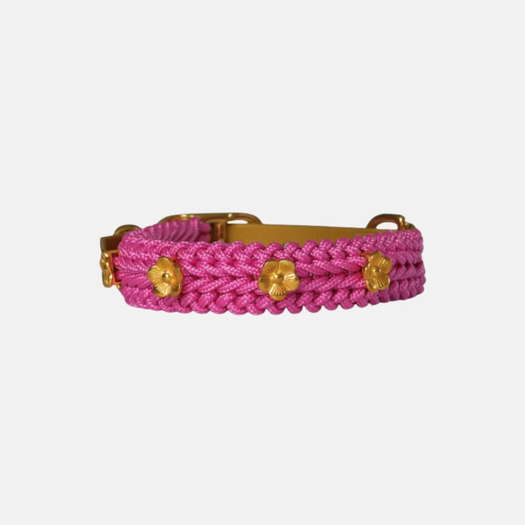 Flor BubbleGum Collar