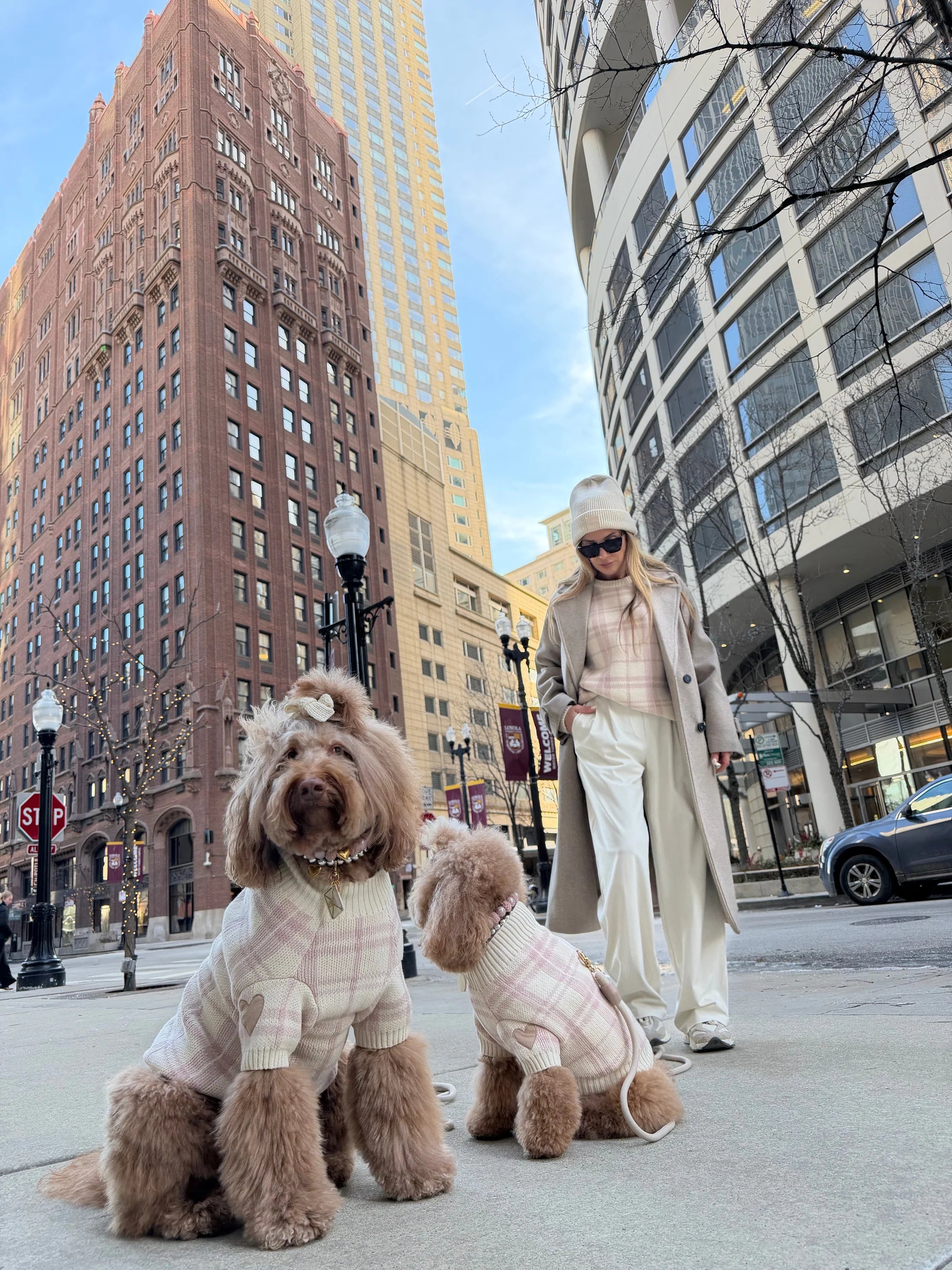 Hearthmauve Dog Sweater