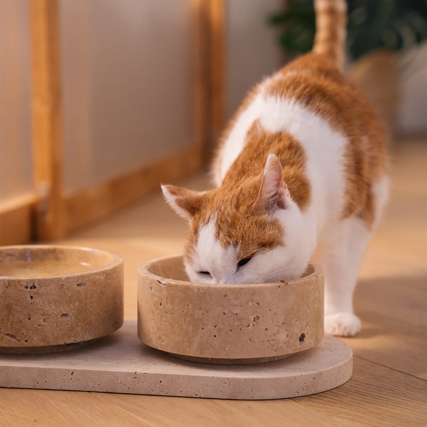 The Travertine Pet Bowl Set