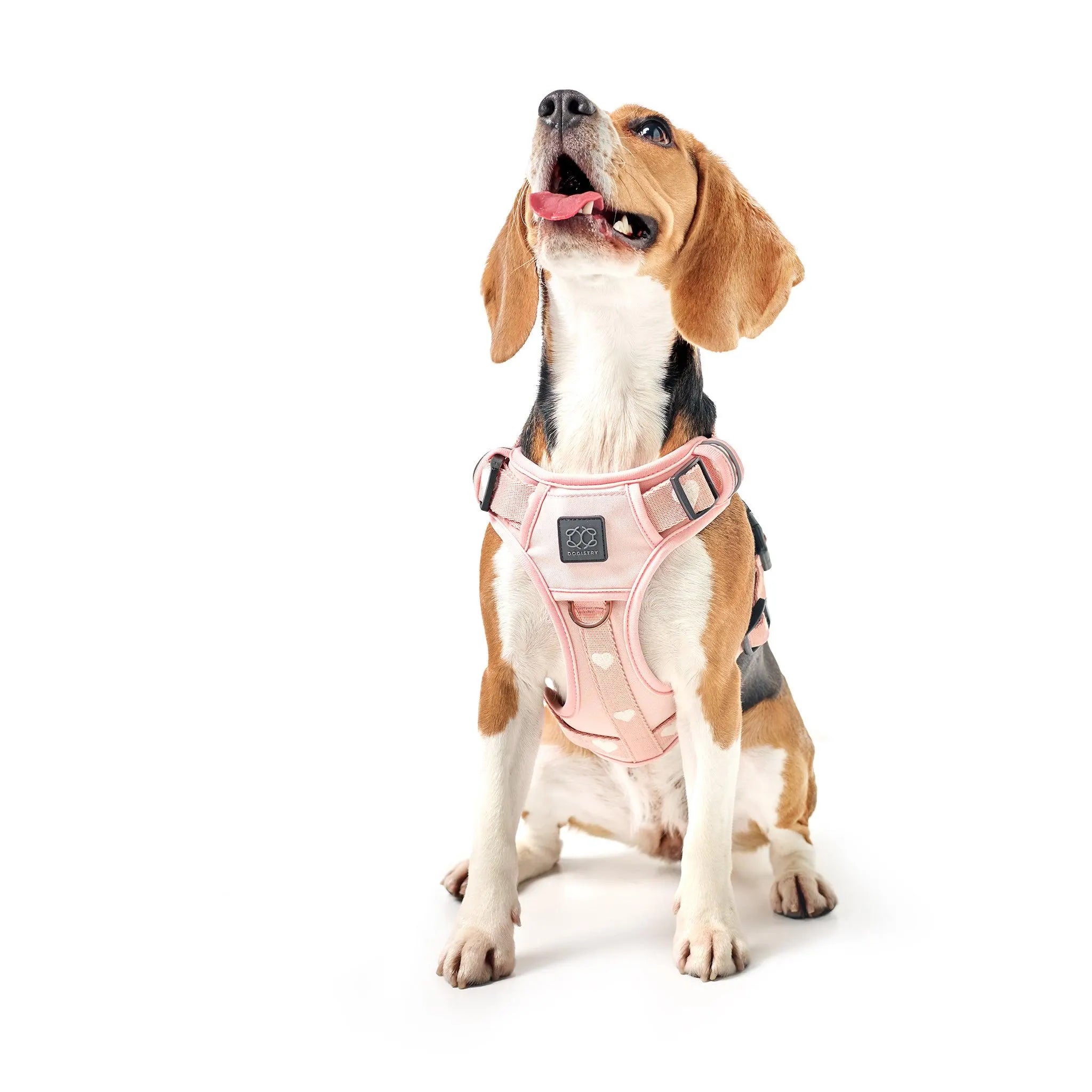 The Nomad Adjustable Luxe Harness - Sweetheart