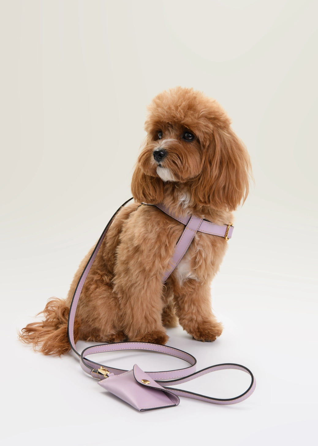 The Lavender Harness Set