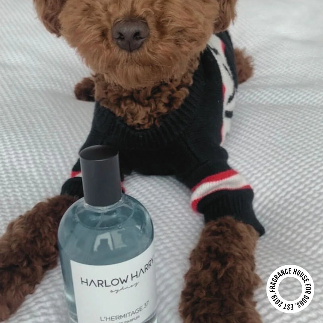 Dog Perfume | the Pair 2.0