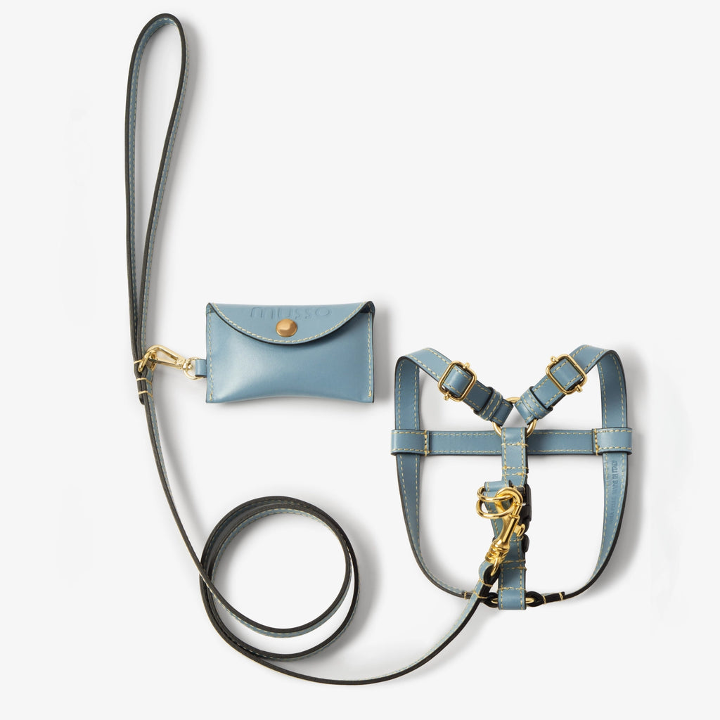 The Azzurro Harness Set