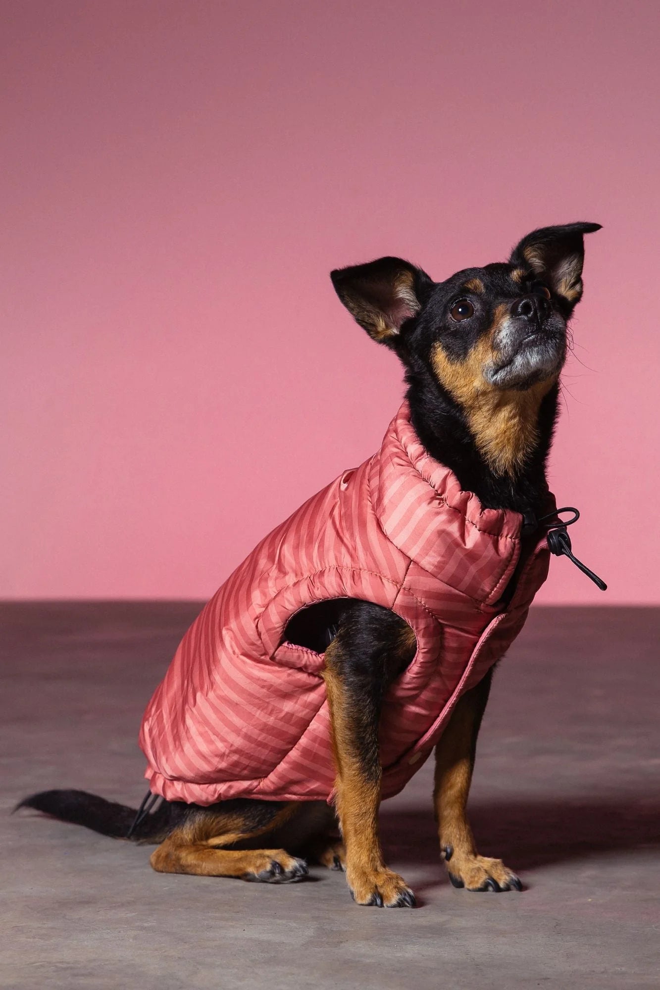 Striped Easy Fit Jacket