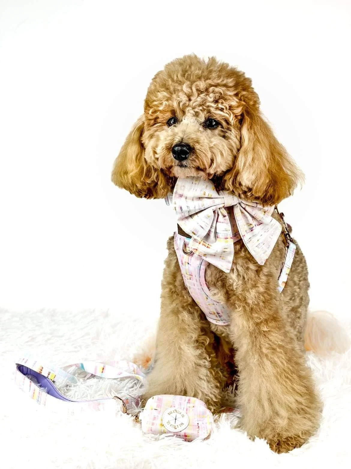 Pastel Dreams Designer Dog Harness Set
