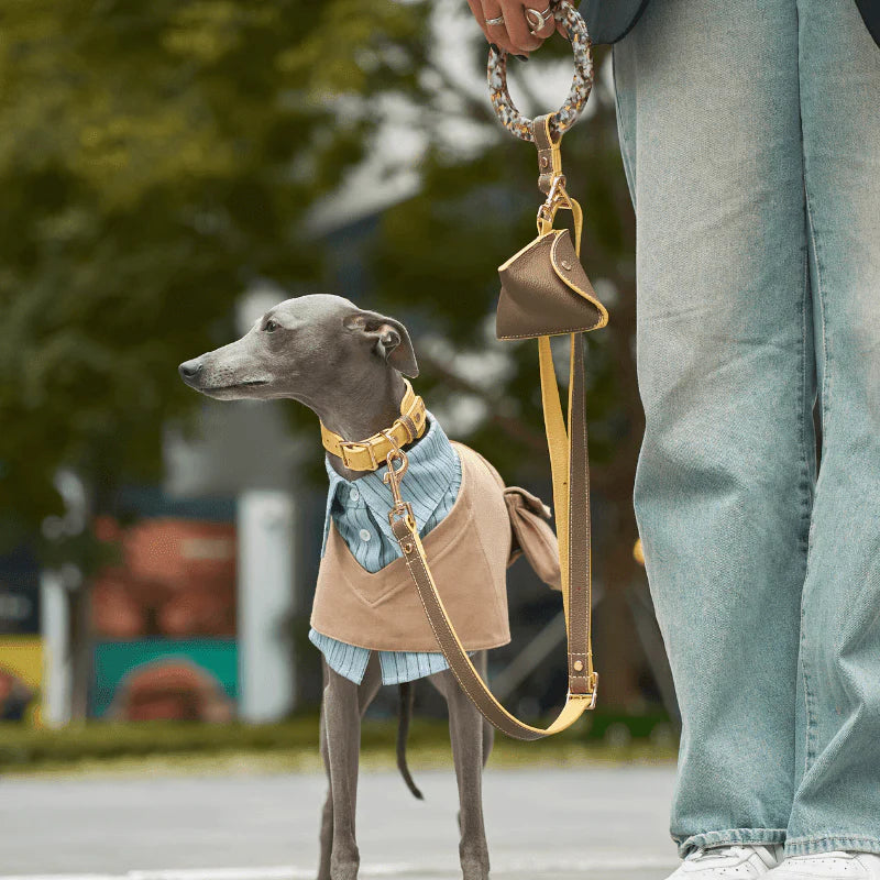 Rosy Leather Dog Leash