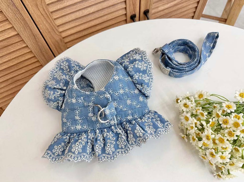 Denim Harness Dress & Leash Set