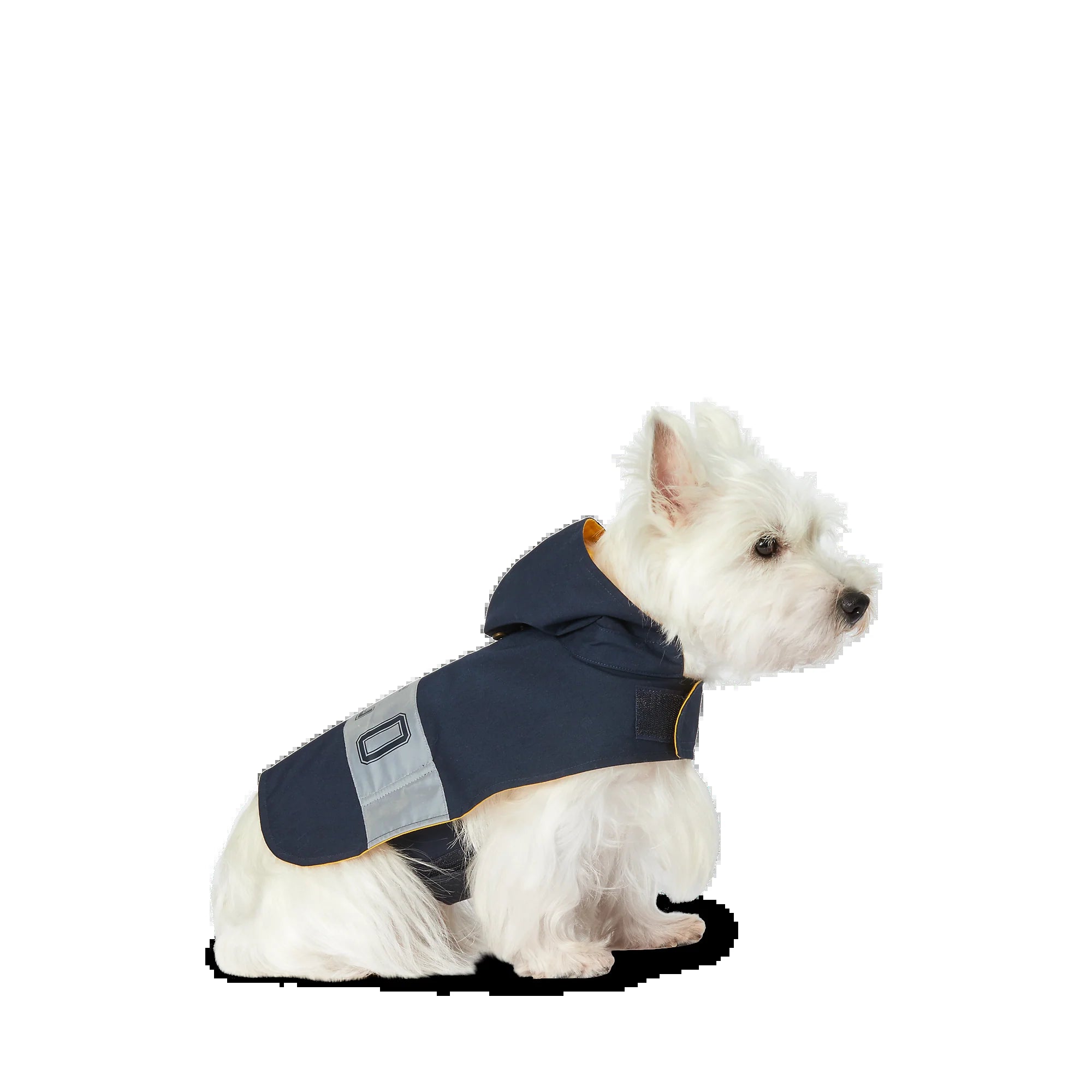 Polo Ralph Lauren Cotton-Canvas Dog Raincoat