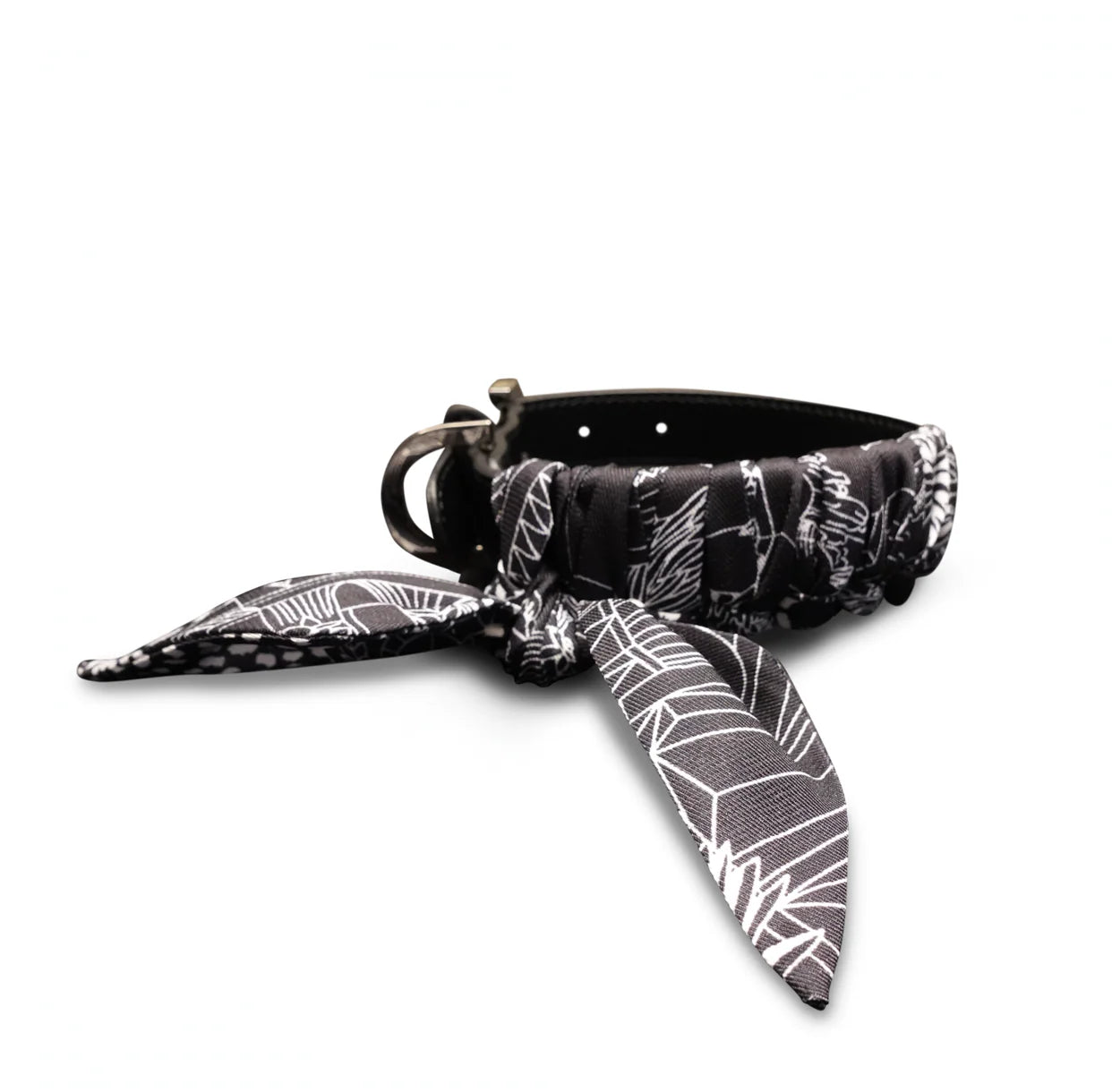 Dog Collar Twilly Elysian Noir