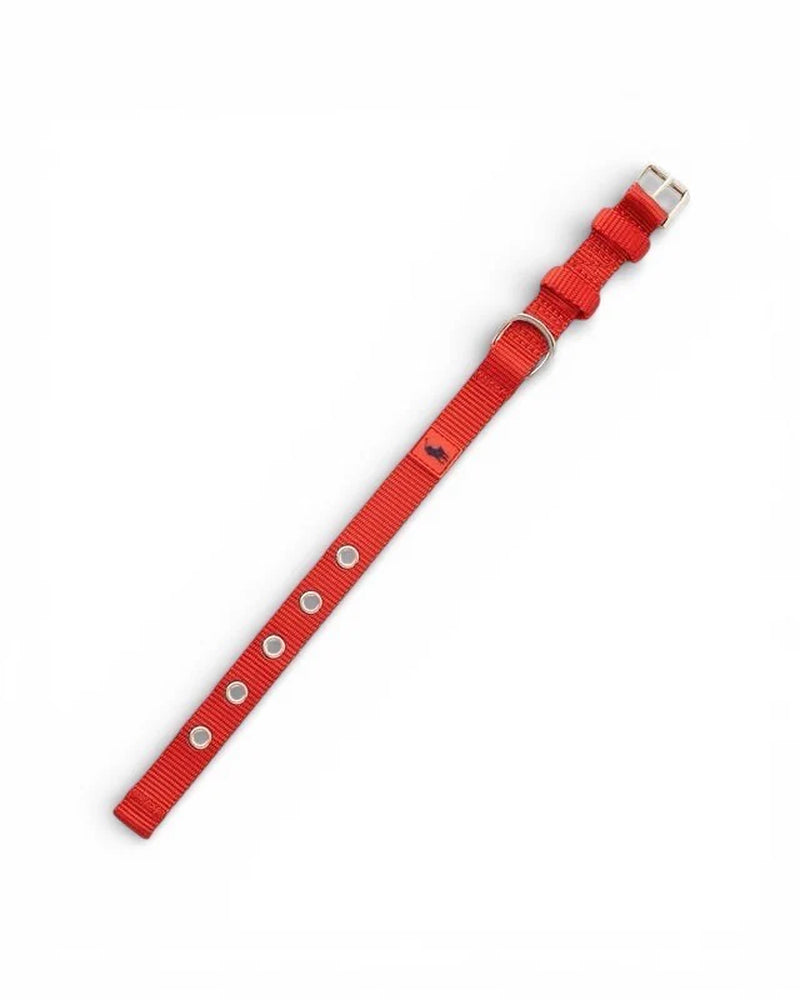 Polo Ralph Lauren Nylon Dog Collar