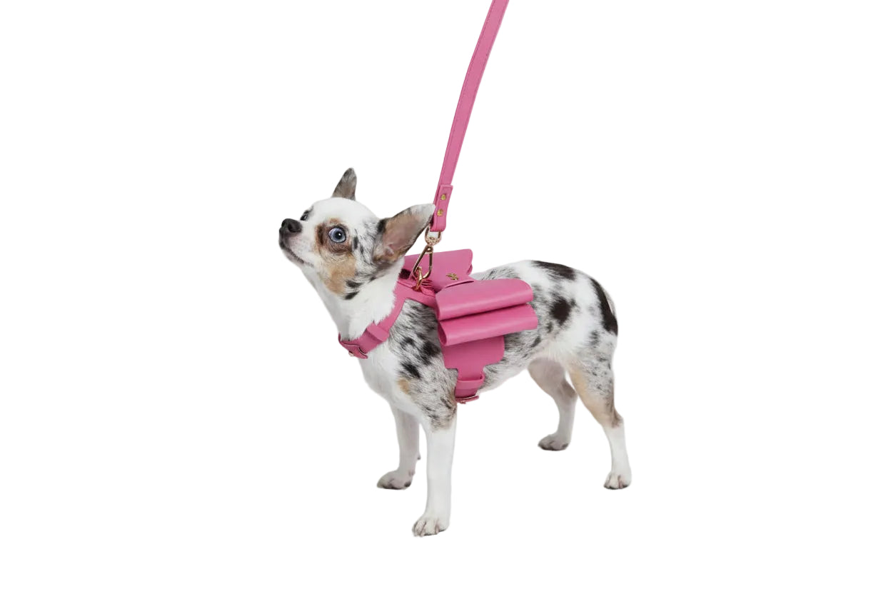 Bow Pack Harness