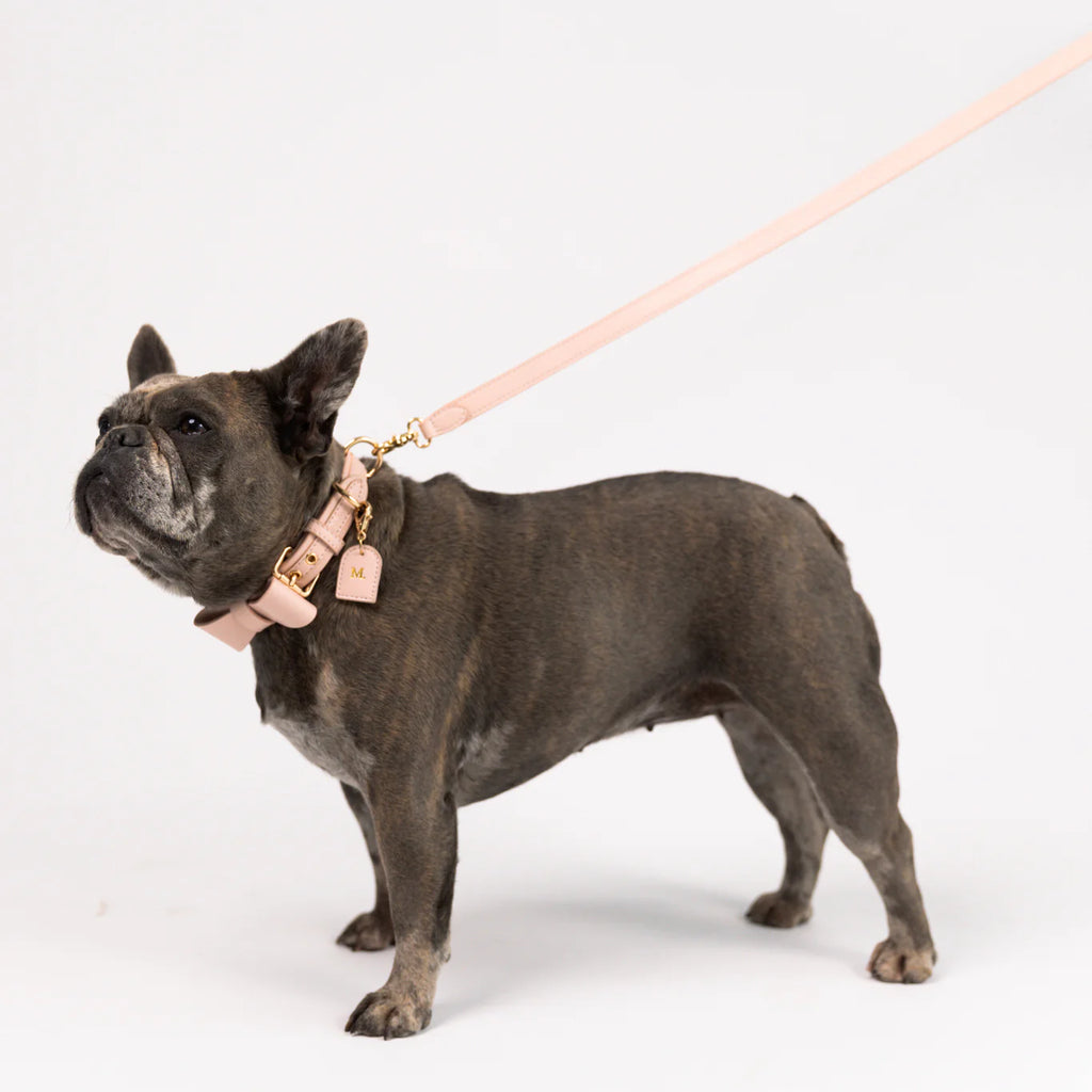 Rose Quartz - Vegan Leather Leash