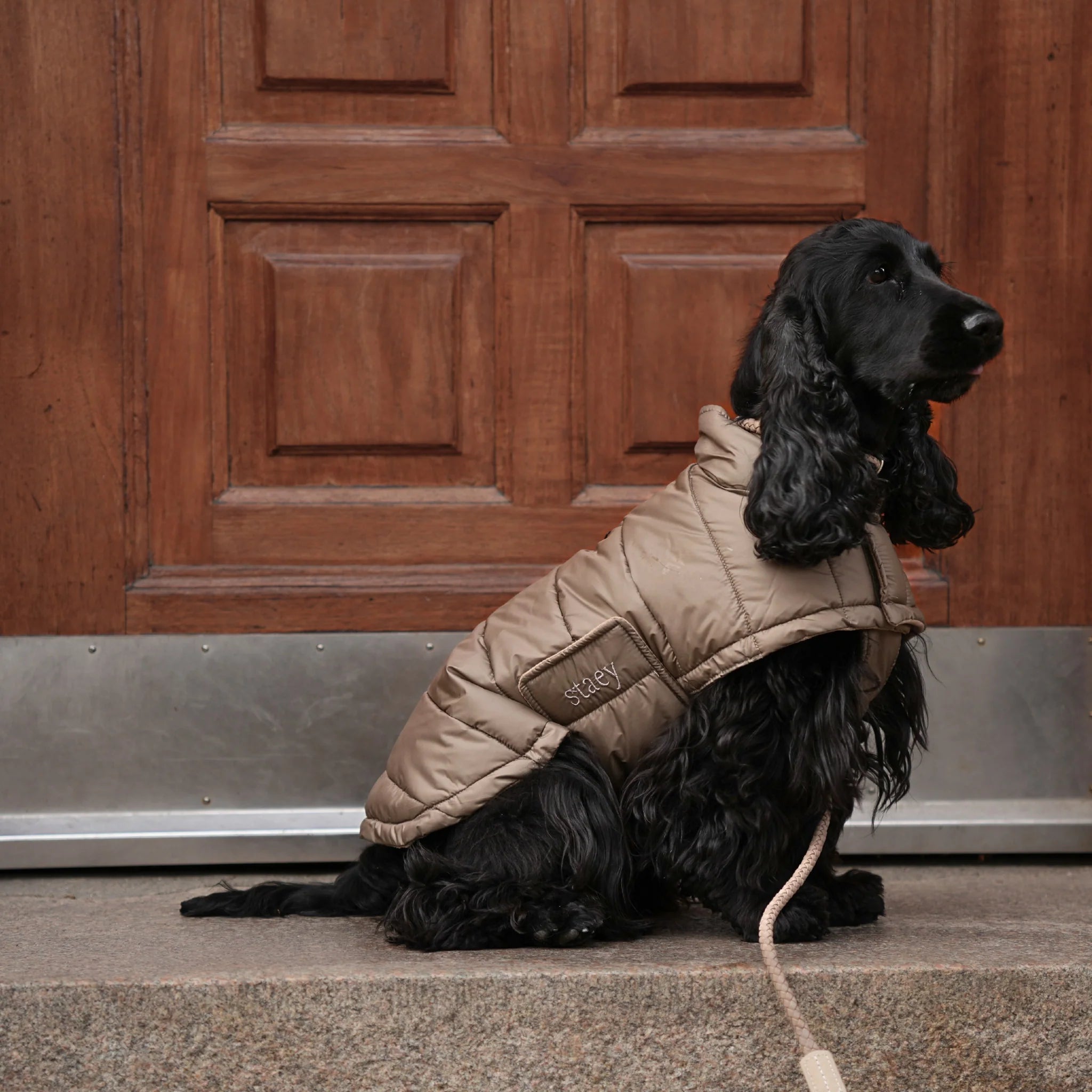 Nora Dog Coat | Taupe