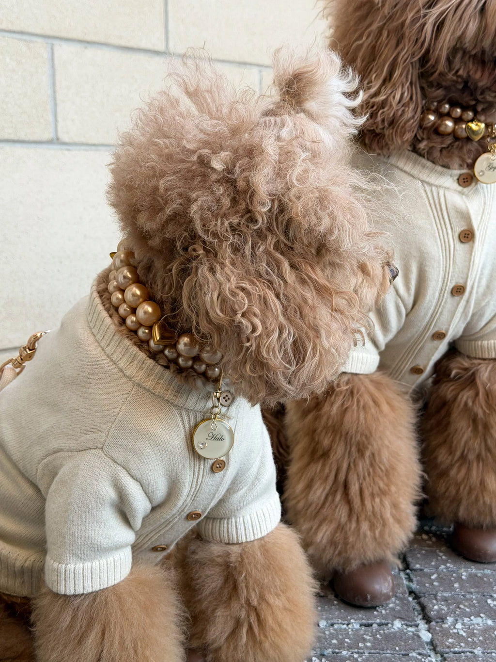 Cora Dog Knit Cardigan - Soft Oat