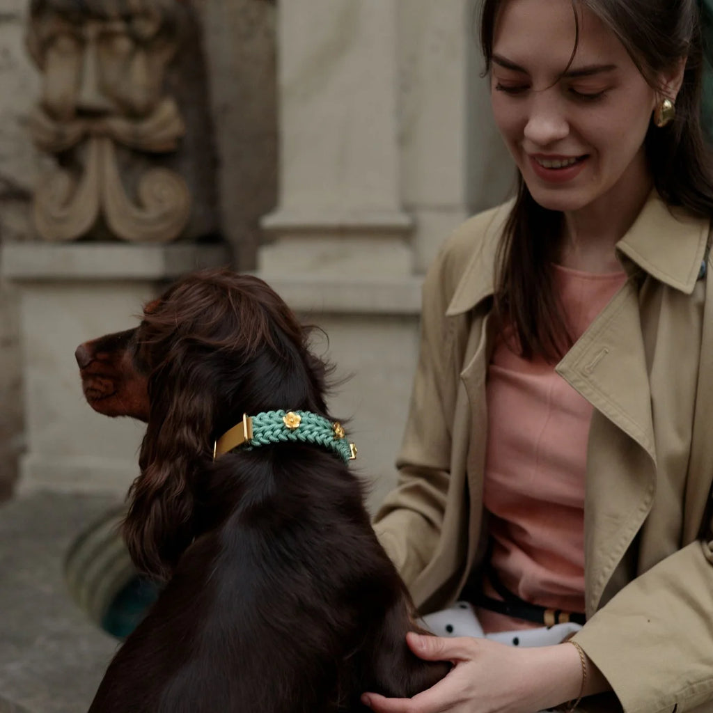 Flor Tiffany Collar