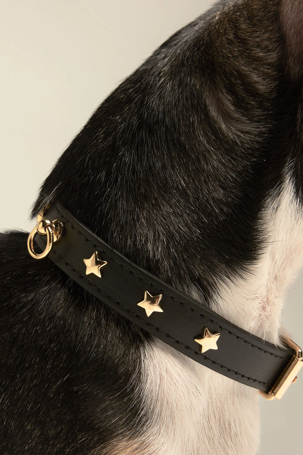 Black Leather Nara Toy Dog Collar