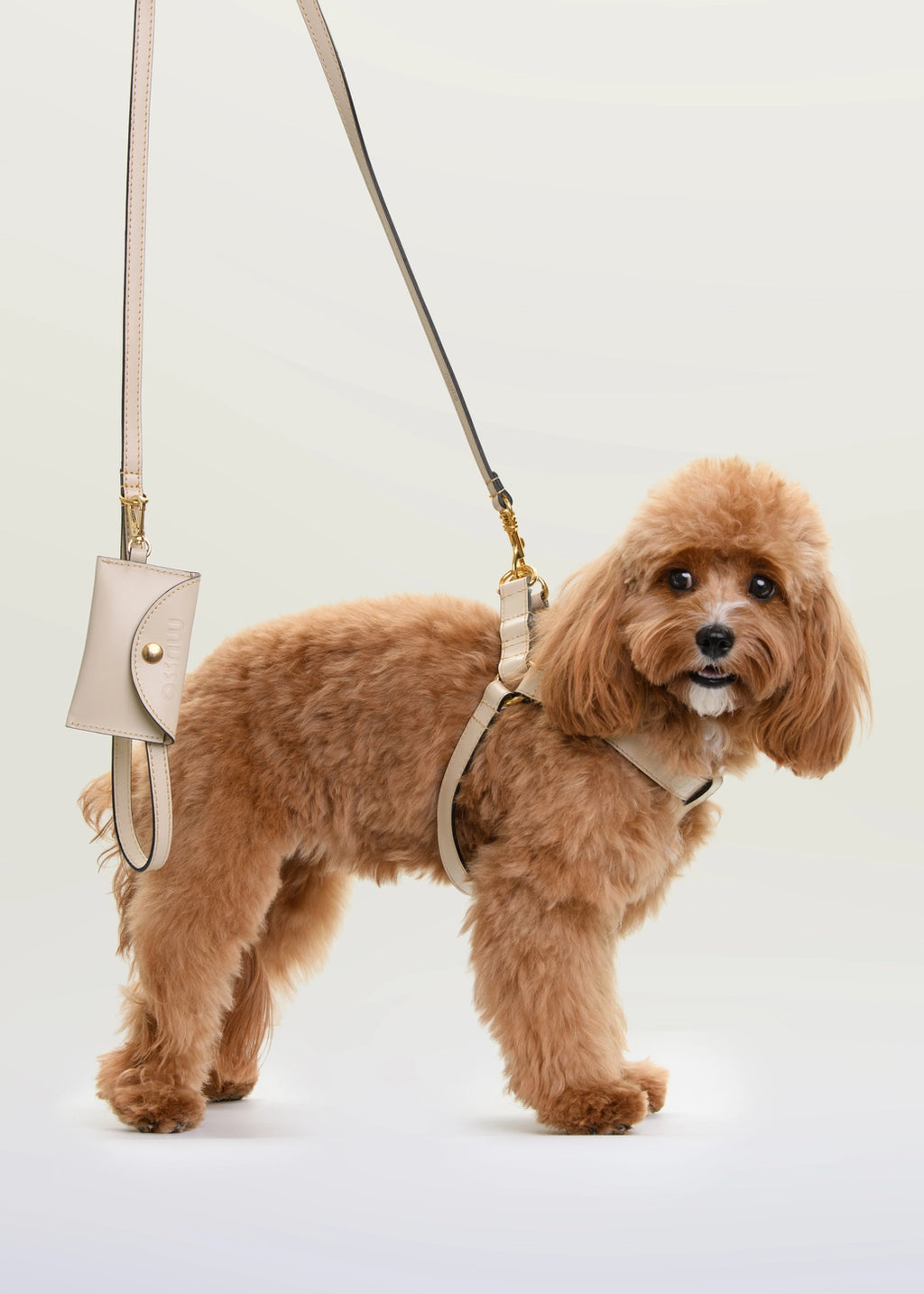 The Crema Harness Set