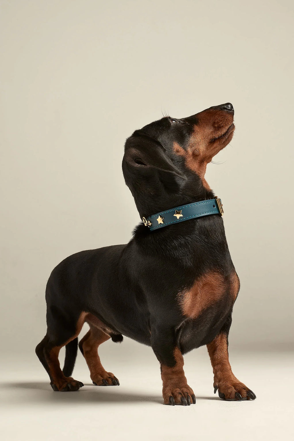 Navy Blue Leather Nara Dog Collar