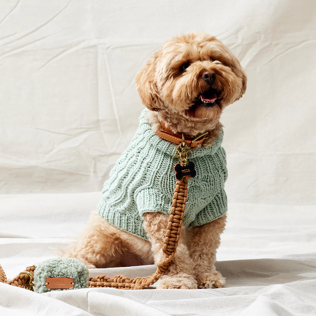 Merino Wool Cable Knit Dog Sweater - Mint
