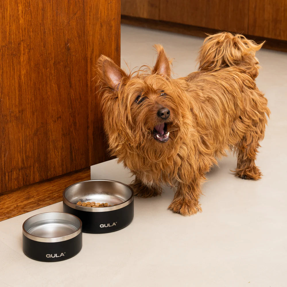 Dog Bowl - Black Stainless Steel