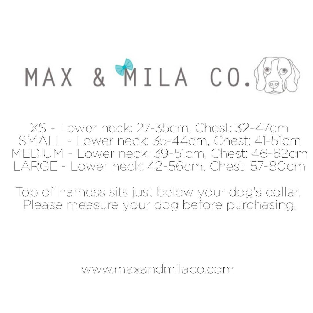 Pastel Dreams Designer Dog Harness Set