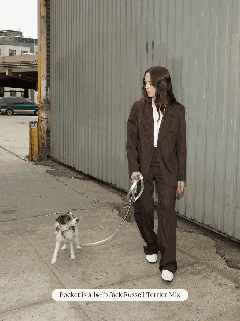 You Mean the World to Me Leash - Silver