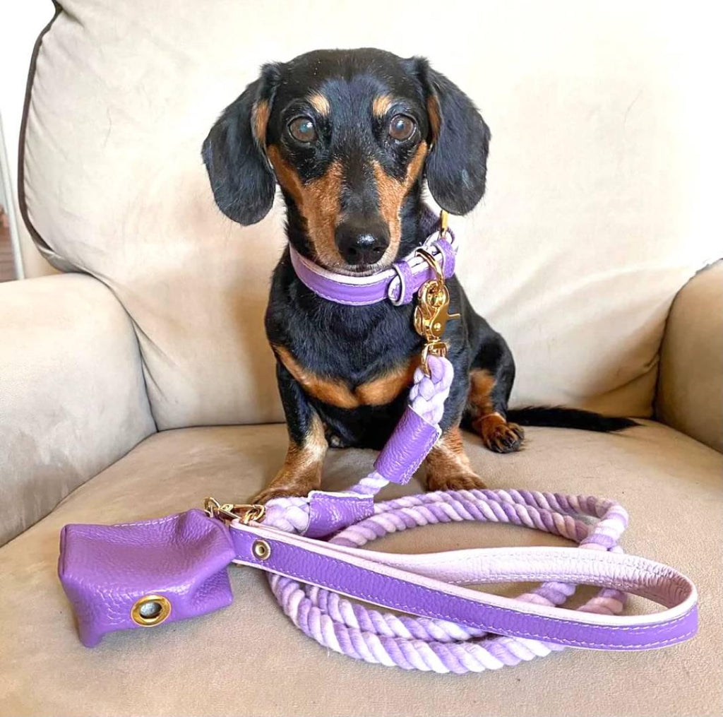 The Braided Rope Leather-Handle Leash