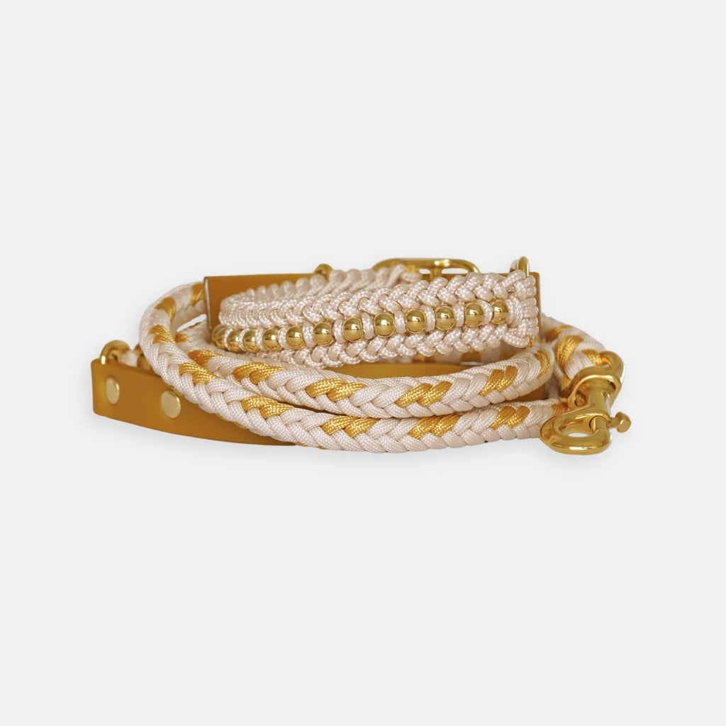 Valentina Cream Collar