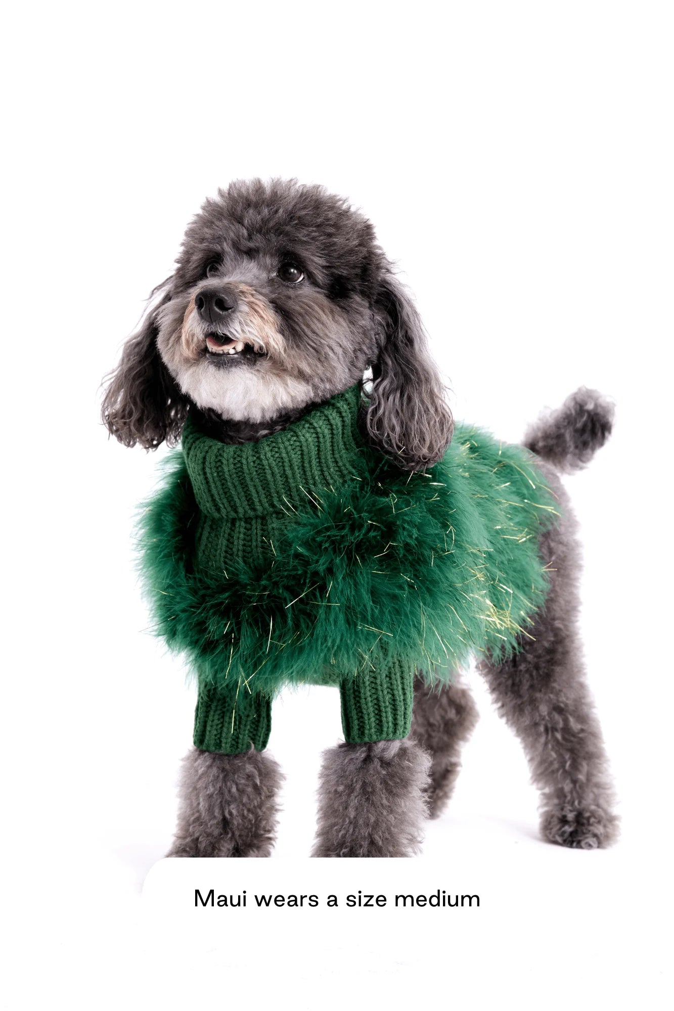 Christian Cowan Holiday Glitz Jumper