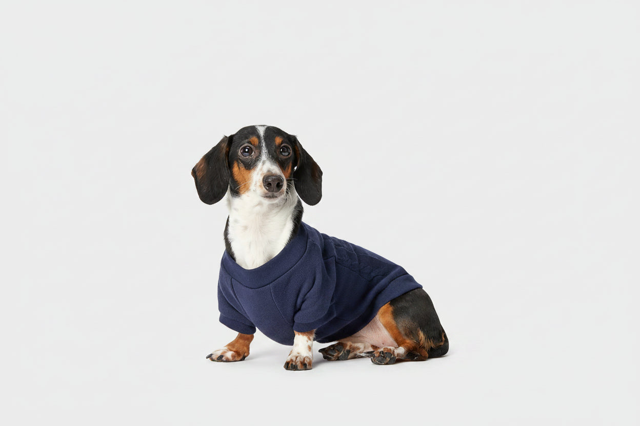 Polo Ralph Lauren Fleece-Dog Sweatshirt