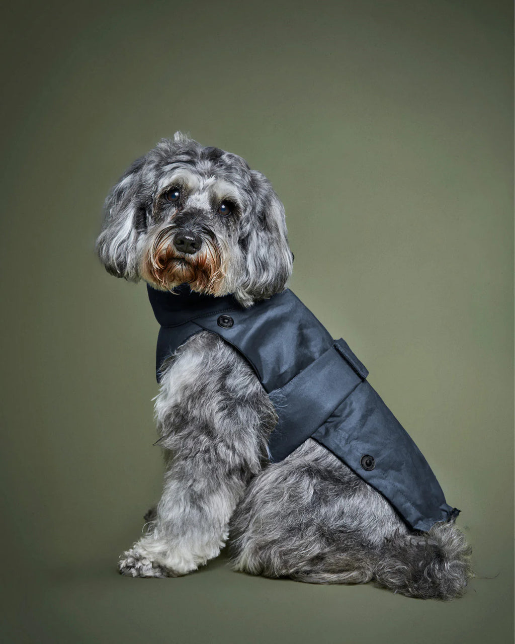 The 2-In-1 Classique Trench - PURPLE GRAY