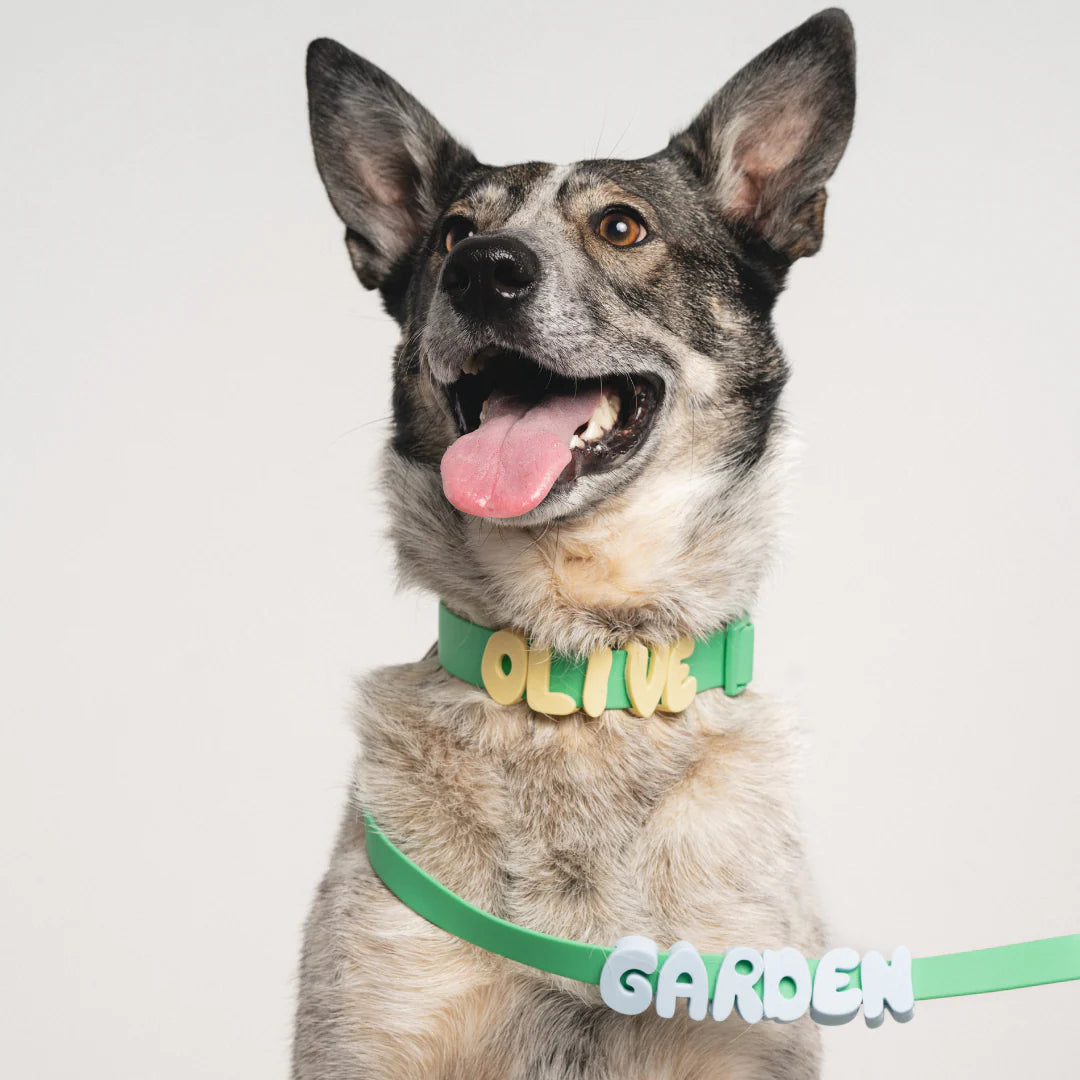 Waterproof Dog Leash + Collar Set