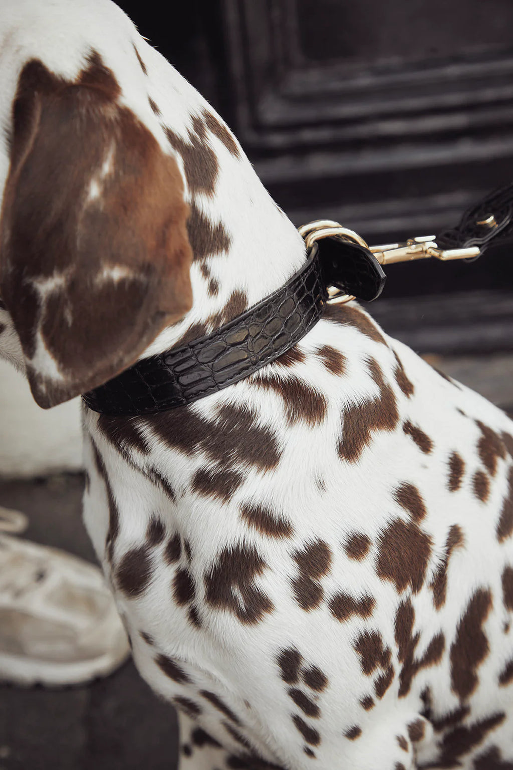 Dog Collar - Black