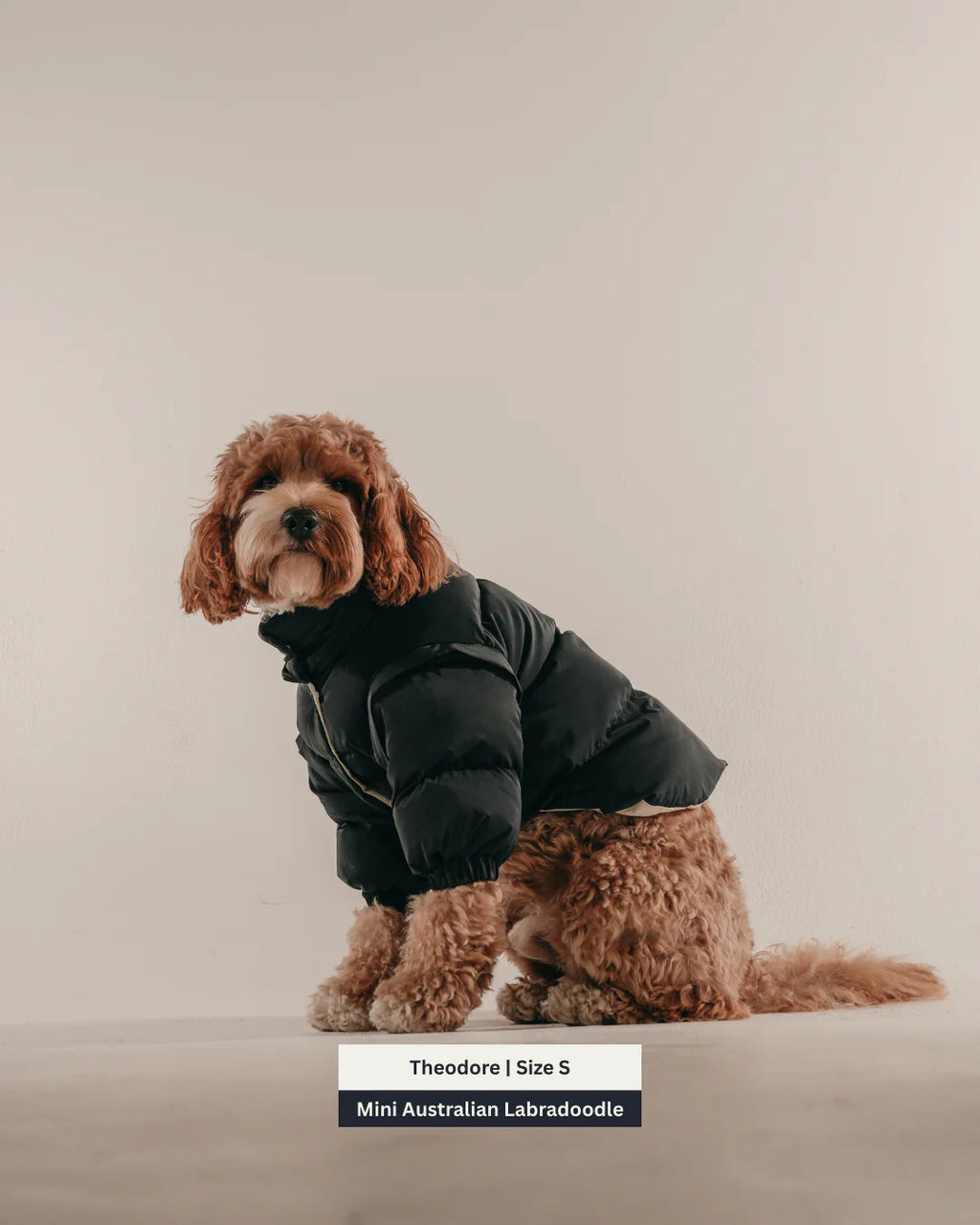 Midnight | the Modular Puffer