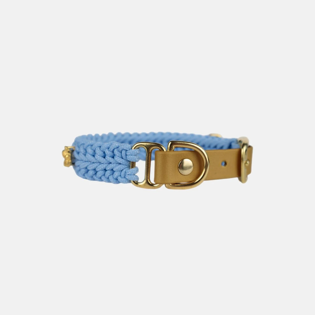 Flor Sky Blue Collar