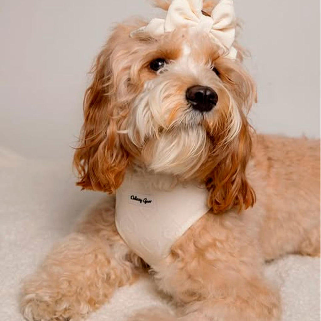 Signature Pink Hearts Luxury Walk Set — Large Harness, Leash, Collar, Bandana & Bow