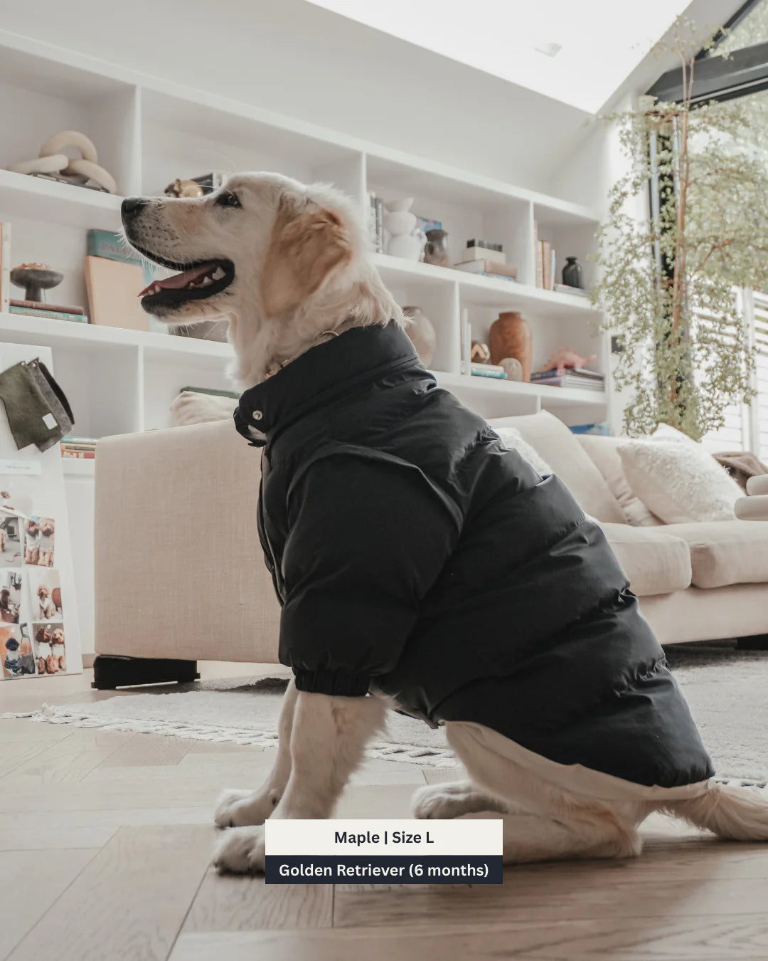Midnight | the Modular Puffer