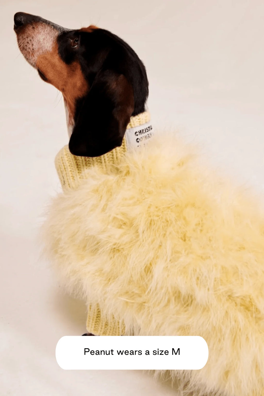 Christian Cowan X Maxbone Jumper