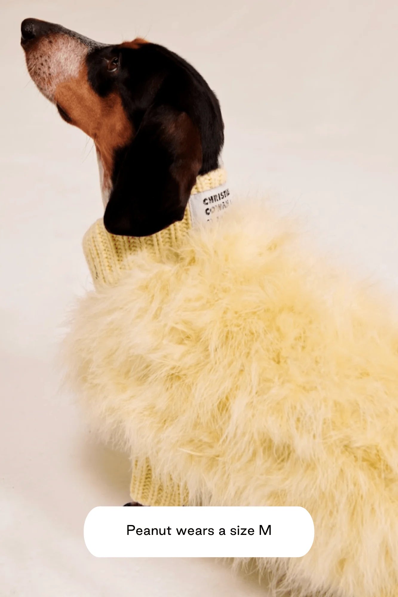 Christian Cowan X Maxbone Jumper