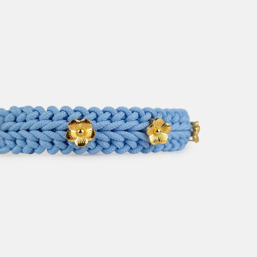 Flor Sky Blue Collar