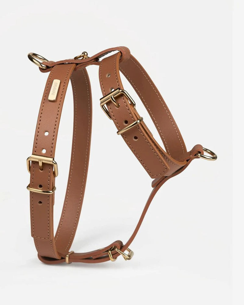 Palermo Harness Camel Leather Walk Kit