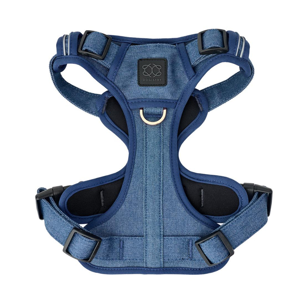 Nomad Adjustable Dog Walking Set - Denim