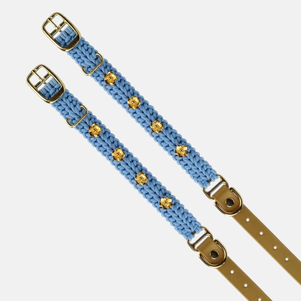 Flor Sky Blue Collar