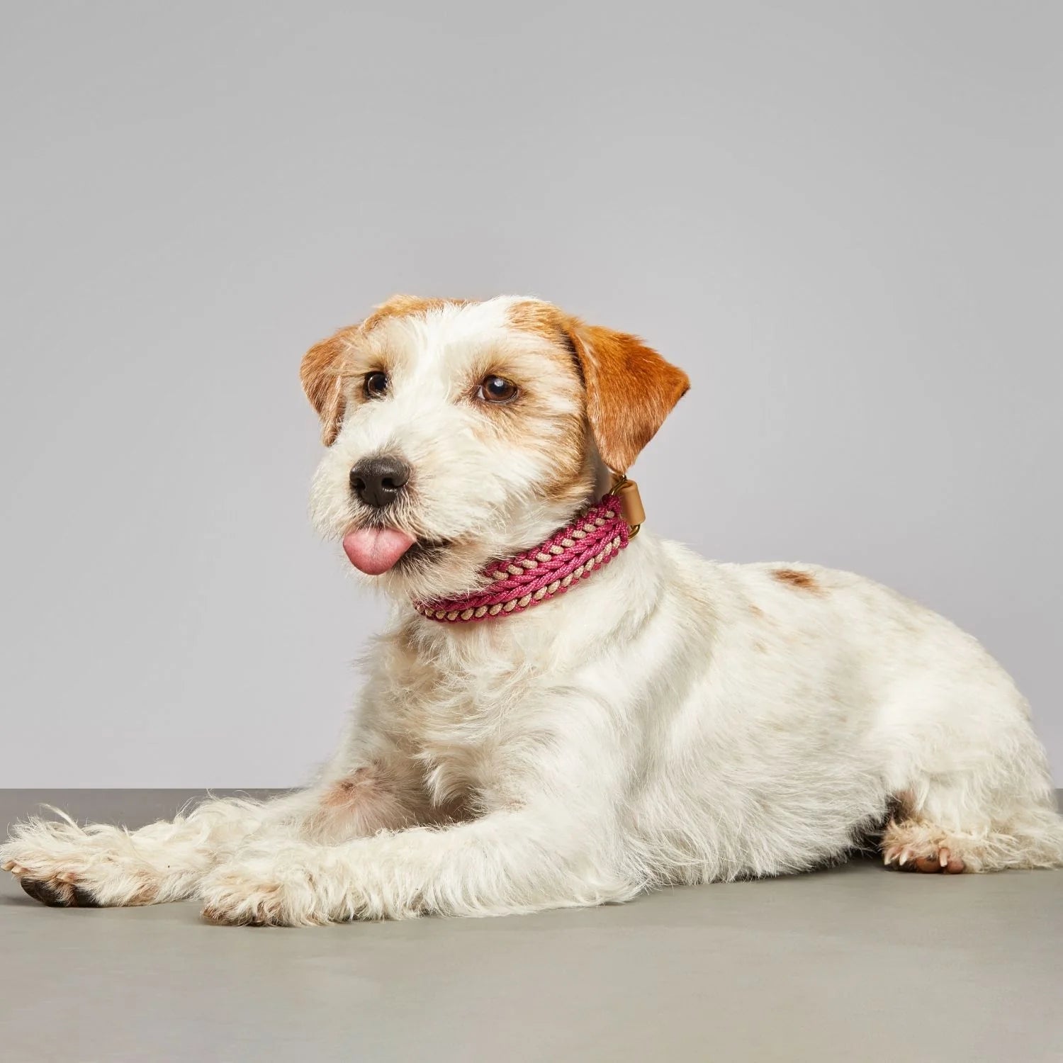 Rosie Pink Collar - Catalina