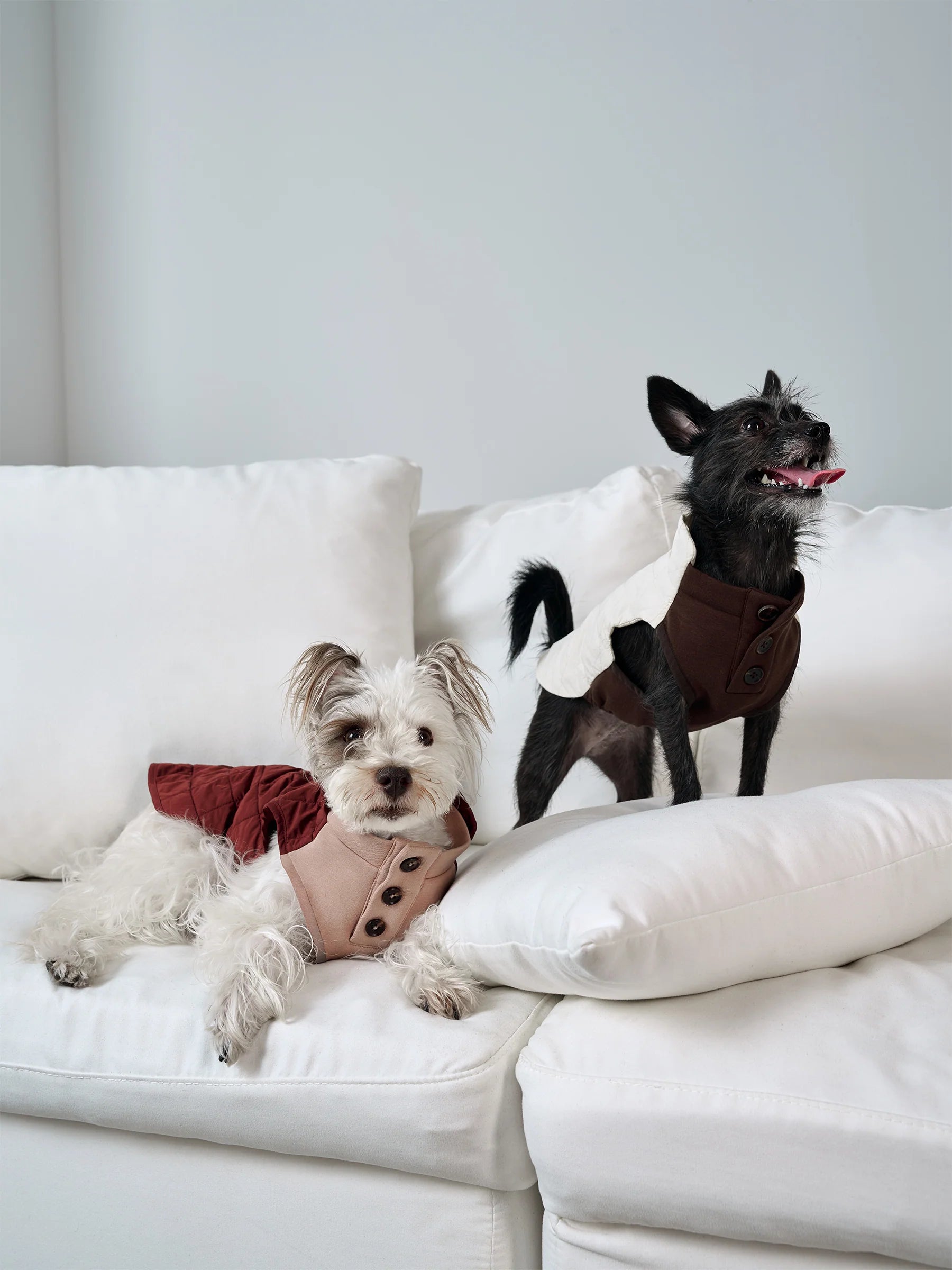 Pup Trust Fund