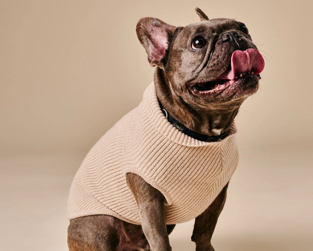 Ellie Sweater – Beige