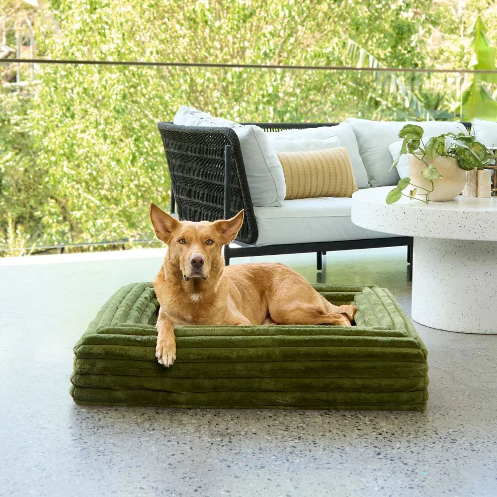 Memory Foam Dog Bed - Puffer Fern