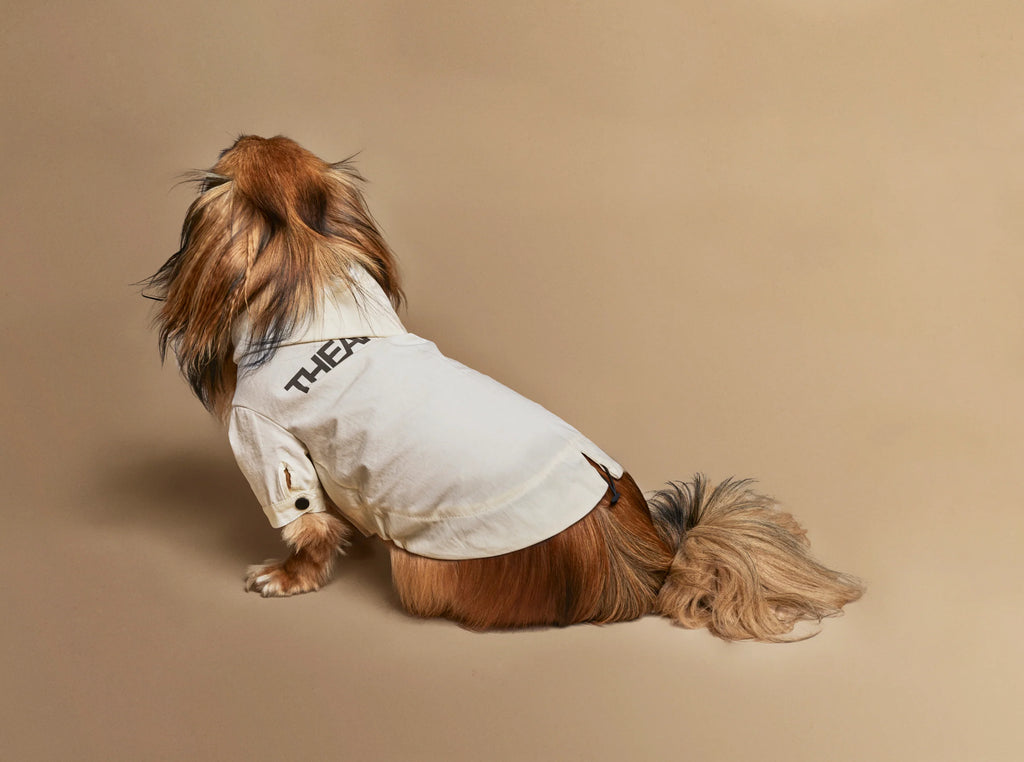 Logo Light Dog Coat - OYSTER